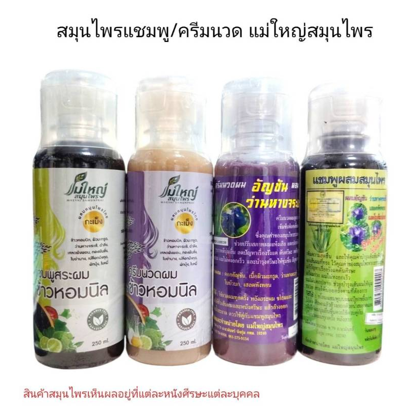 แชมพู/ครีมนวด แม่ใหญ่สมุนไพร (250 ml)