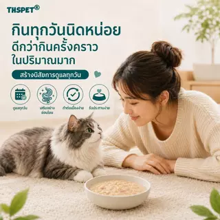 THSPET 70g อาหารสัตว์เลี้ยงเปียก รสไก่ แซลมอน และน้ำฟักทอง สูตรควบคุมก้อนขน