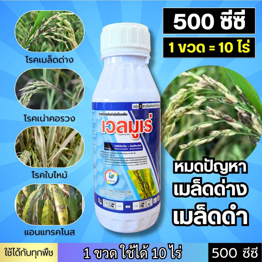 (ขนาด 500 ซีซี) เวลมูเร่ : เมล็ดด่าง เมล็ดดำ "ดูดซึม" โรคเน่าคอรวง โรคแอนแทรคโนส กาบใบแห้ง ใบจุดตากบ ราสนิม ใบไหม้