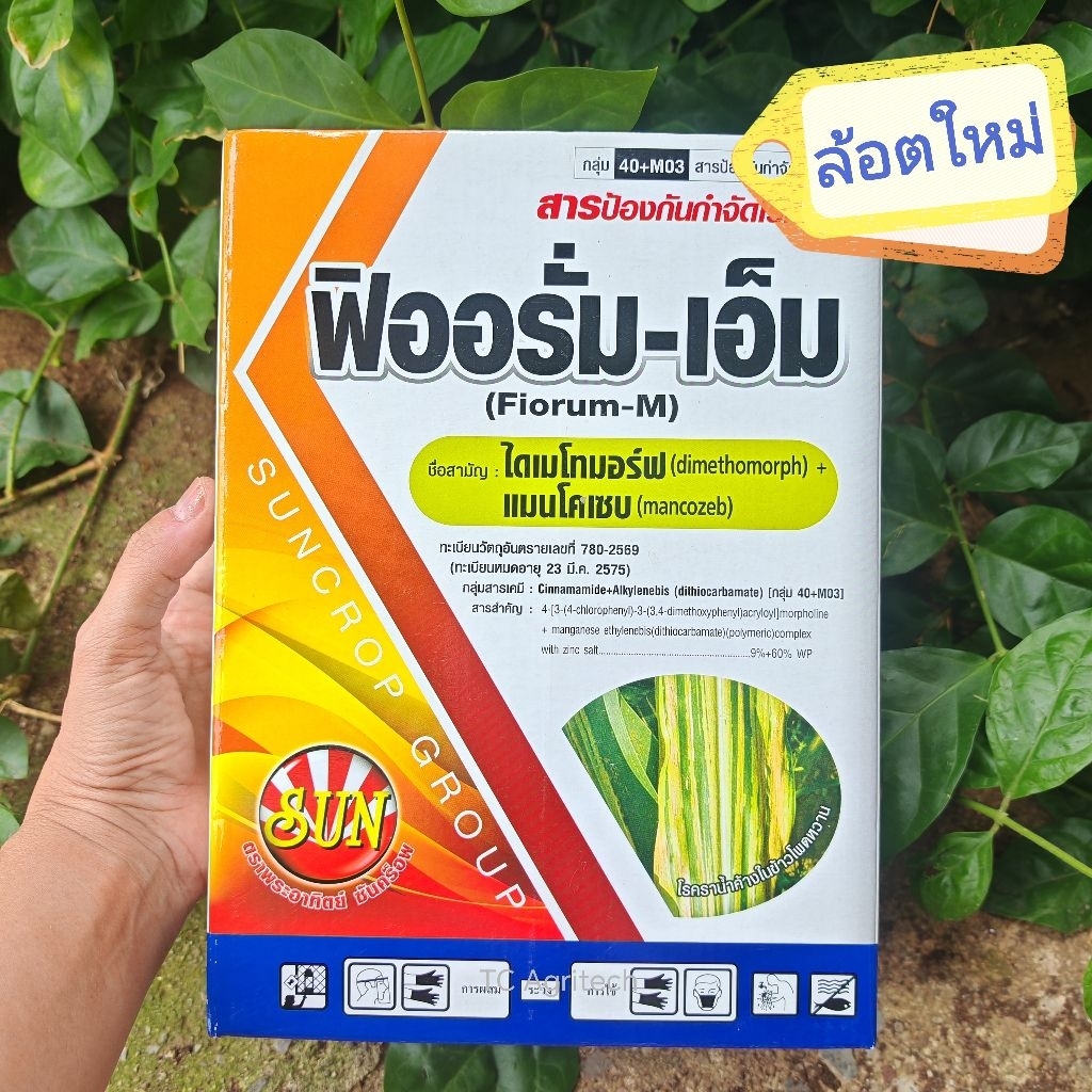 ฟิออรั่ม-เอ็ม ไดเมโทมอร์ฟ+แมนโคแซบ 1กก.ล้อตใหม่สุด กำจัดโรคพืช ไฟท้อป ฟิวซาเรียม ใบจุด ราน้ำค้าง