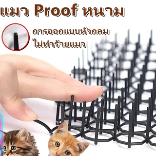 หนามไล่แมวและนกพิราบ ไล่แมว ไล่นก ปลอดสารพิษ ไม่ใช้สารเคมี ตัดแต่งได้ มี 2 ขนาด ใช้งานง่าย