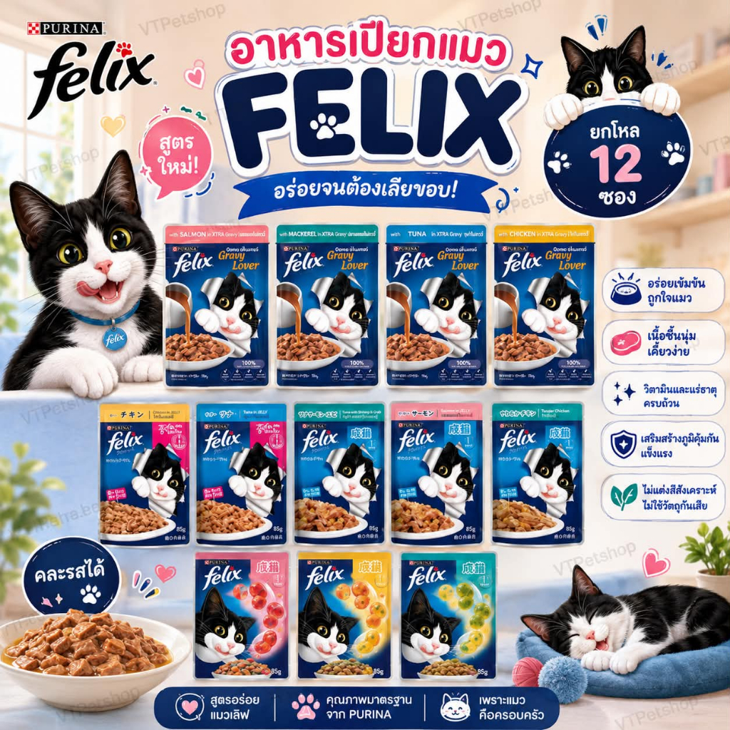 ( 12 ซอง ) Felix อาหารเปียกแมว หลากหลายรสชาติ Felix ( 12 ซอง )
