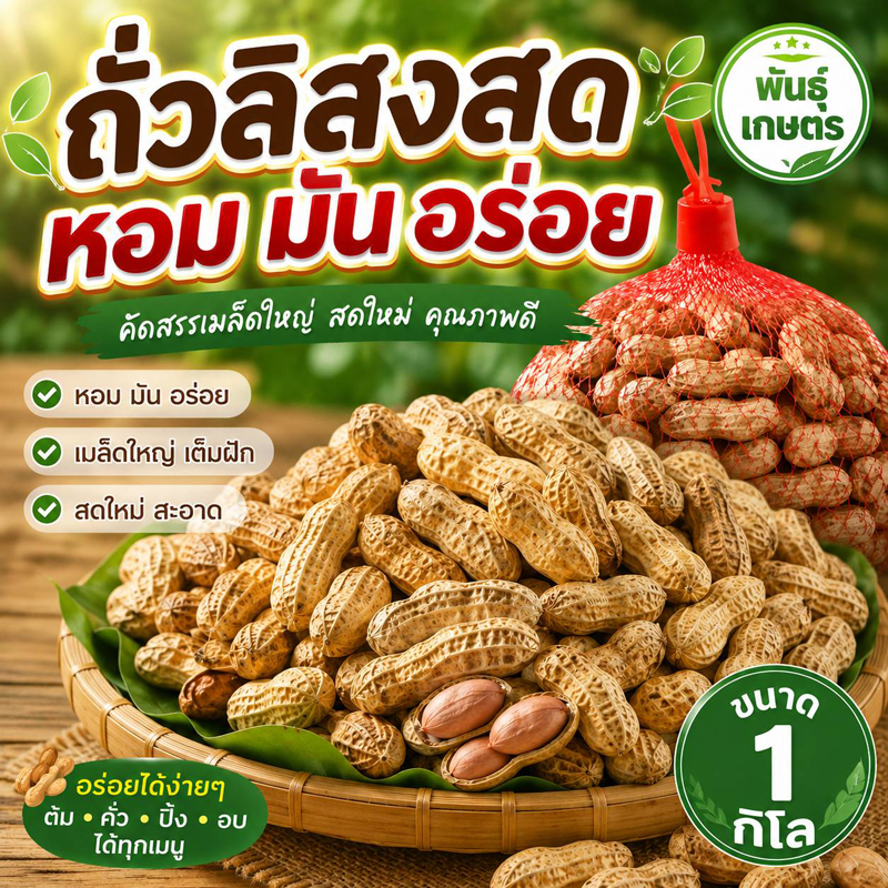 ถั่วลิสงสดดิบ ล้างสะอาด พันธ์เกษร หอม มัน  รสชาติอร่อย กินเล่นก็ฟิน ขนาด 1 กิโล