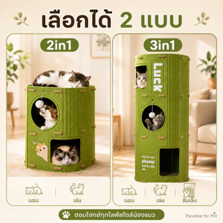 😺บ้านแมว คอนโดแมว บ้านมีรู 2ชั้น 3ชั้น คอนโดแมวทรงกระบอกดีไซน์ญี่ปุ่น แข็งแรงทนทาน สามารถปีนได้