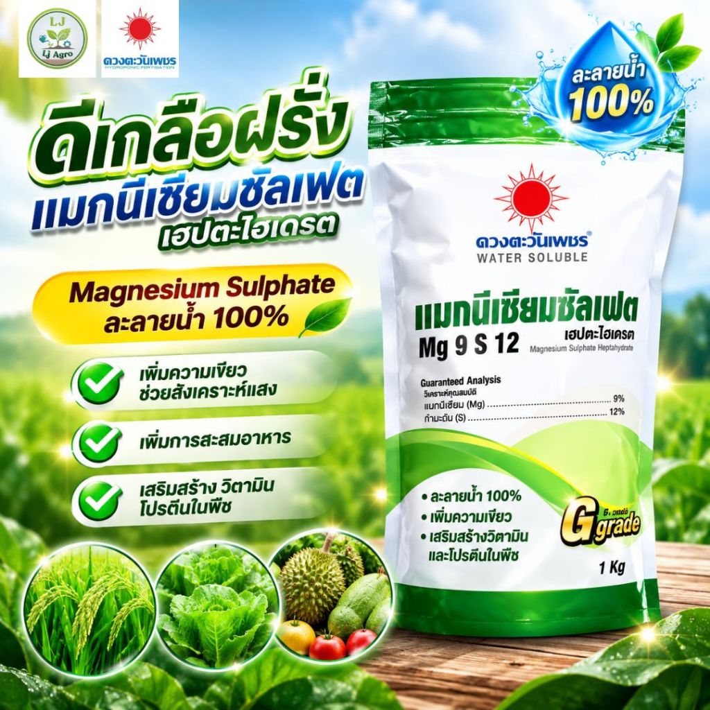 แมกนีเซียมซัลเฟต MgSO4 (แบรนด์) 1 kg (ดวงตะวันเพชร) #แอลเจอะโกร