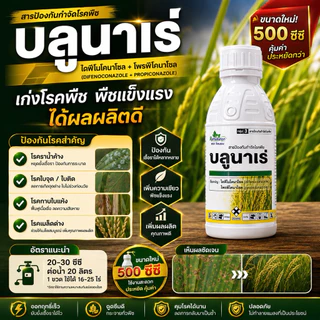 บลูนาเร่ 500ซีซี ไดฟีโนโคนาโซล+โพรพิโคนาโซล ตัวเดียวกับอามูเร่ กำจัดโรคเมล็ดด่างป้อง โรคกาบใบแห้งโรคราสนิมในข้าว ข้าวโพด