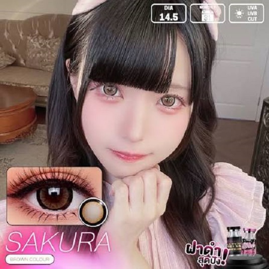 คอนแทคเลนส์ รุ่น Sakura/Edge สีเทา/ตาล Gray/Brown มีค่าสายตา (0.00)-(-10.00)ขายปังสุด