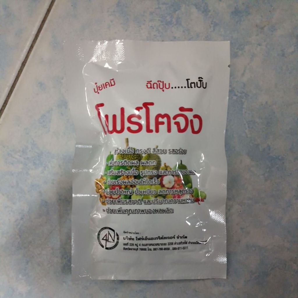 โฟร์โตจัง สร้างเนื้อ ทรงดี สีสวย