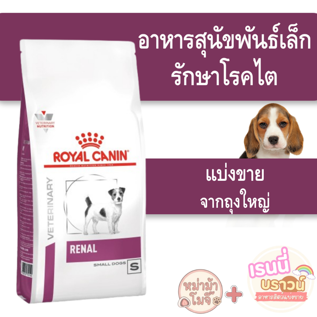 ส่งด่วนทุกวัน [[หมาเล็กโรคไต]]((แบ่งขาย)) Royal Canin Renal Small Dog อาหารหมาโรคไตพันธุ์เล็ก