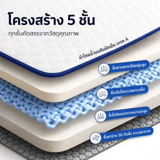 ที่นอนยางพารา 3.5 ฟุต 5ฟุต 6ฟุต 3ฟุต เพื่อสุขภาพ สัมผัสนุ่มแน่น ลดอาการปวดหลัง พับเก็บได้ ส่งฟรี