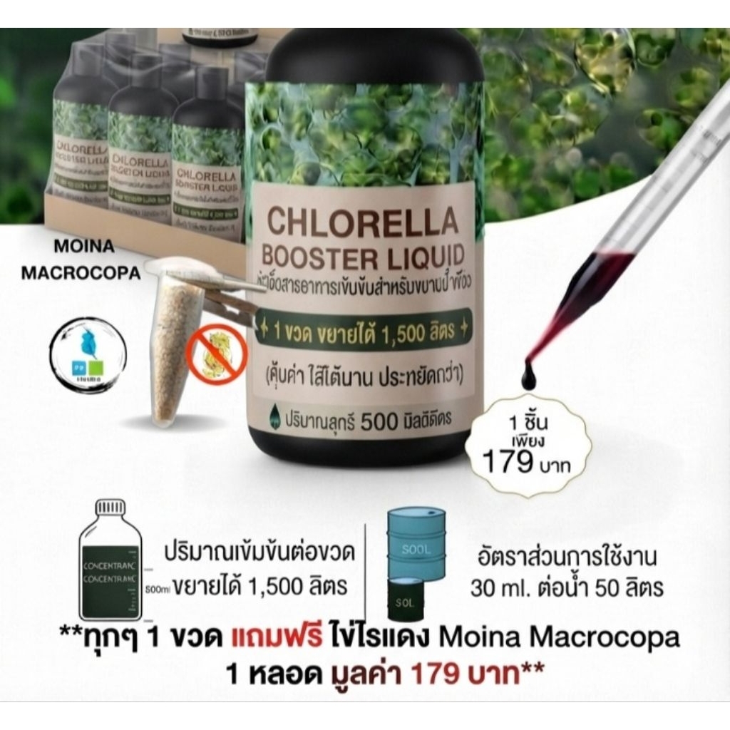 ปุ๋ยเร่งน้ำเขียว Chlorella Booste 500mlสะดวกไร้ตะกอน 30mlต่อน้ำ 50ลิตร