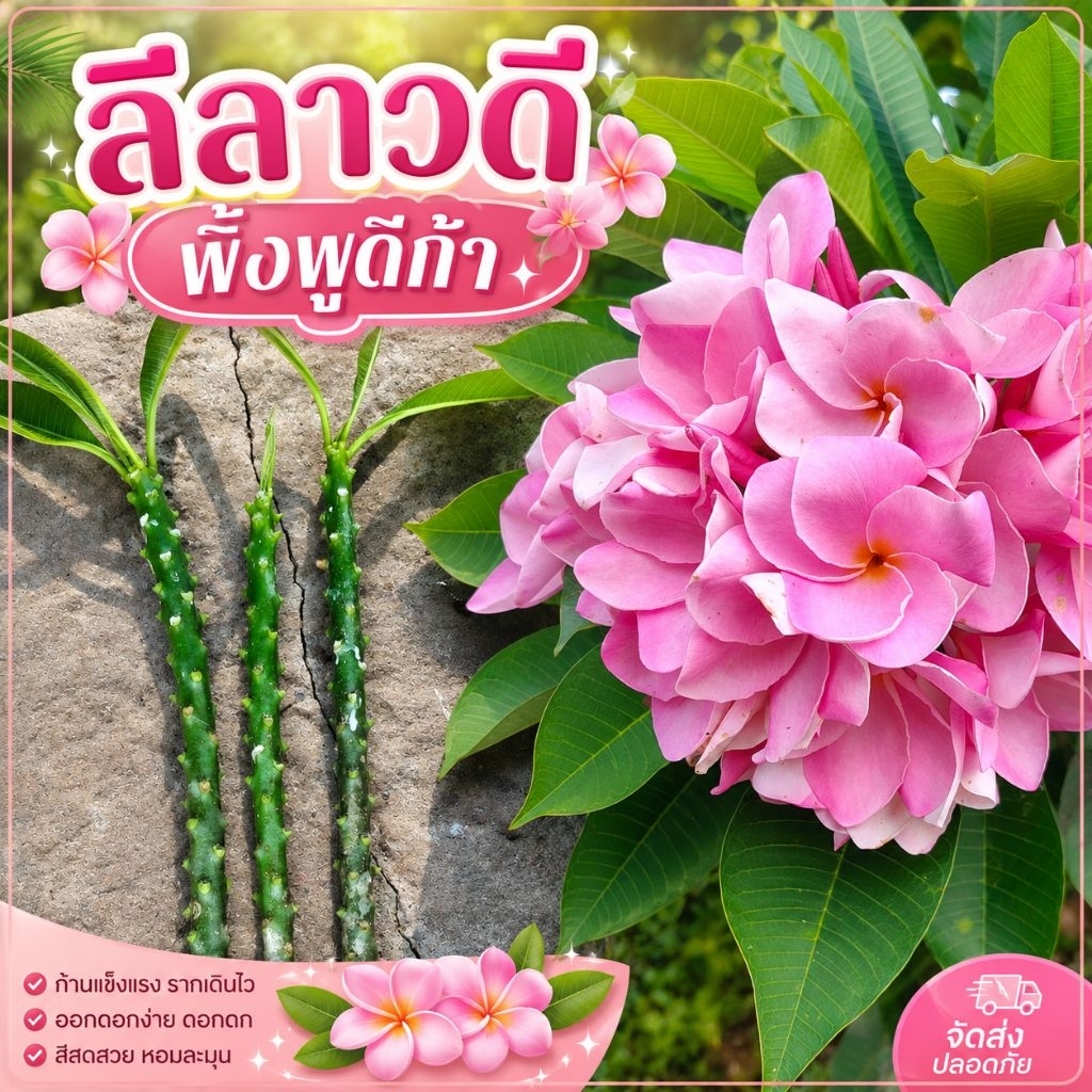 ลีลาวดีชื่ิอว่า พิ้งพูดิก้า