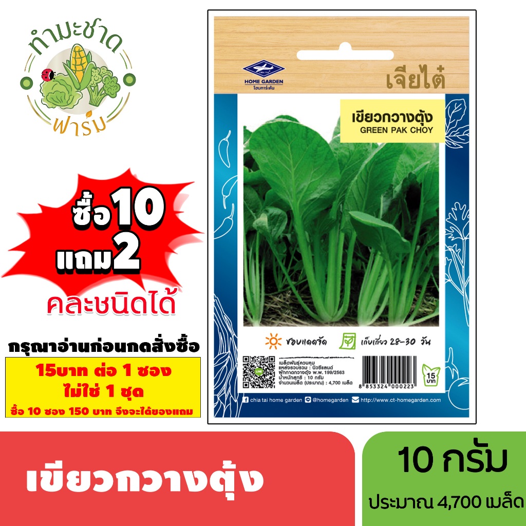 [1ซอง] เจียไต๋ (ซื้อ10แถม2) เมล็ดพันธุ์ เขียวกวางตุ้ง ขนาด10กรัม ประมาณ4,700เมล็ด Pak Choy กวางตุ้ง เมล็ดพันธุ์พืช เมล็ด
