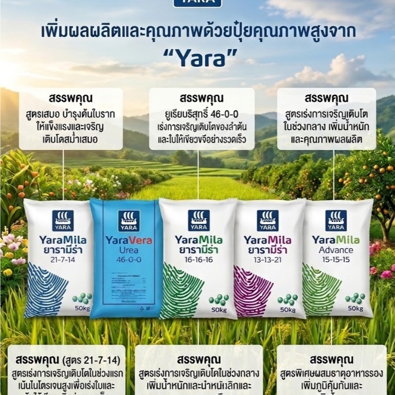 (1กระสอบ=50กิโล)ปุ๋ย ยารามีร่าละลายได้ไว พืชดูดซึมไปใช้ได้อย่างรวดเร็วโดยแต่ละสูตรมาเพื่อตอบโจทย์พืชในระยะการเจริญเติบโต