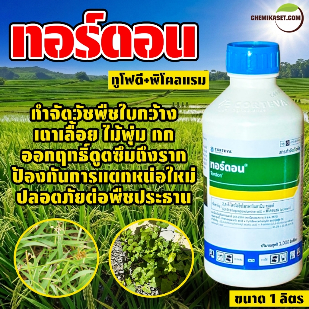 ทอร์ดอน (ชื่อสามัญ:2,4 ดี-ไตรโอโซโพรพาโนลามีน ซอลต์+พิโคลแรม) ขนาด 1 ลิตร
