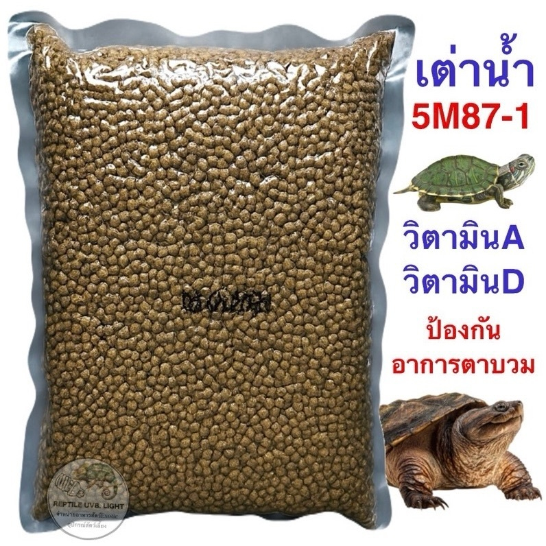 (ทุกขนาด) อาหารเต่าน้ำ5M87-1 Fresh Water Turtle เต่าญี่ปุ่น เต่าอัลลิเกเตอร์ เต่าหมูบิน เต่านา เต่าหับไทย
