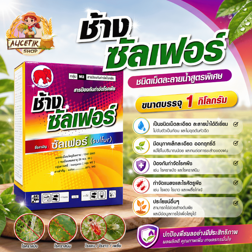 ช้าง ซัลเฟอร์ 80 กำมะถันเนื้อทอง ขนาด 1 กิโลกรัม สารป้องกันกำจัดไรศัตรูพืช ไรแดง ราแป้ง