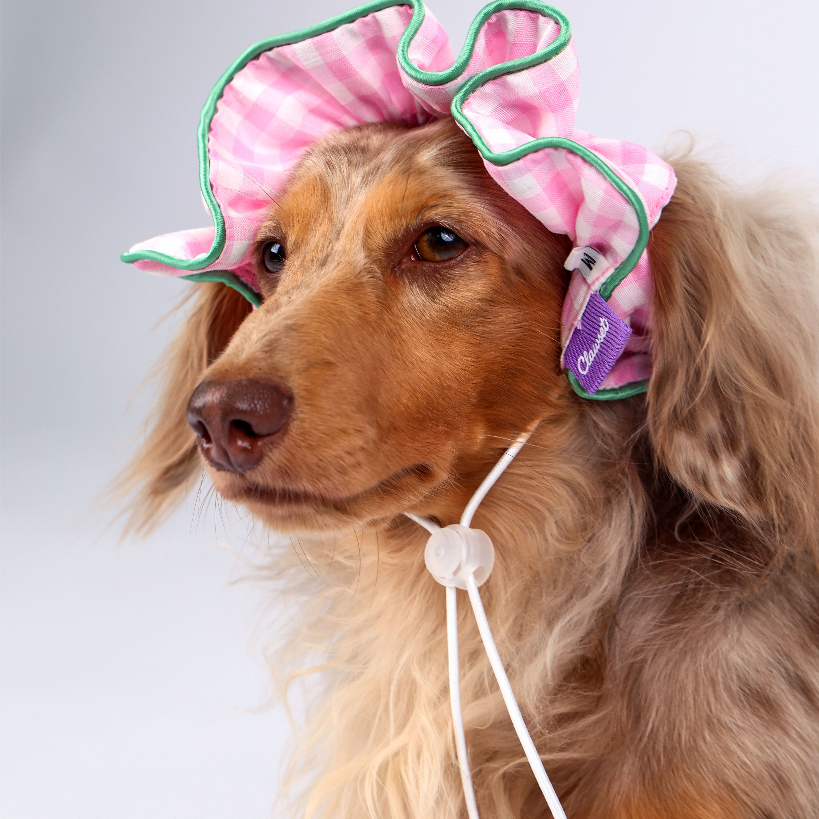 CLAWSET غطاء أذن للحيوانات Comfy Headband — صورة 6