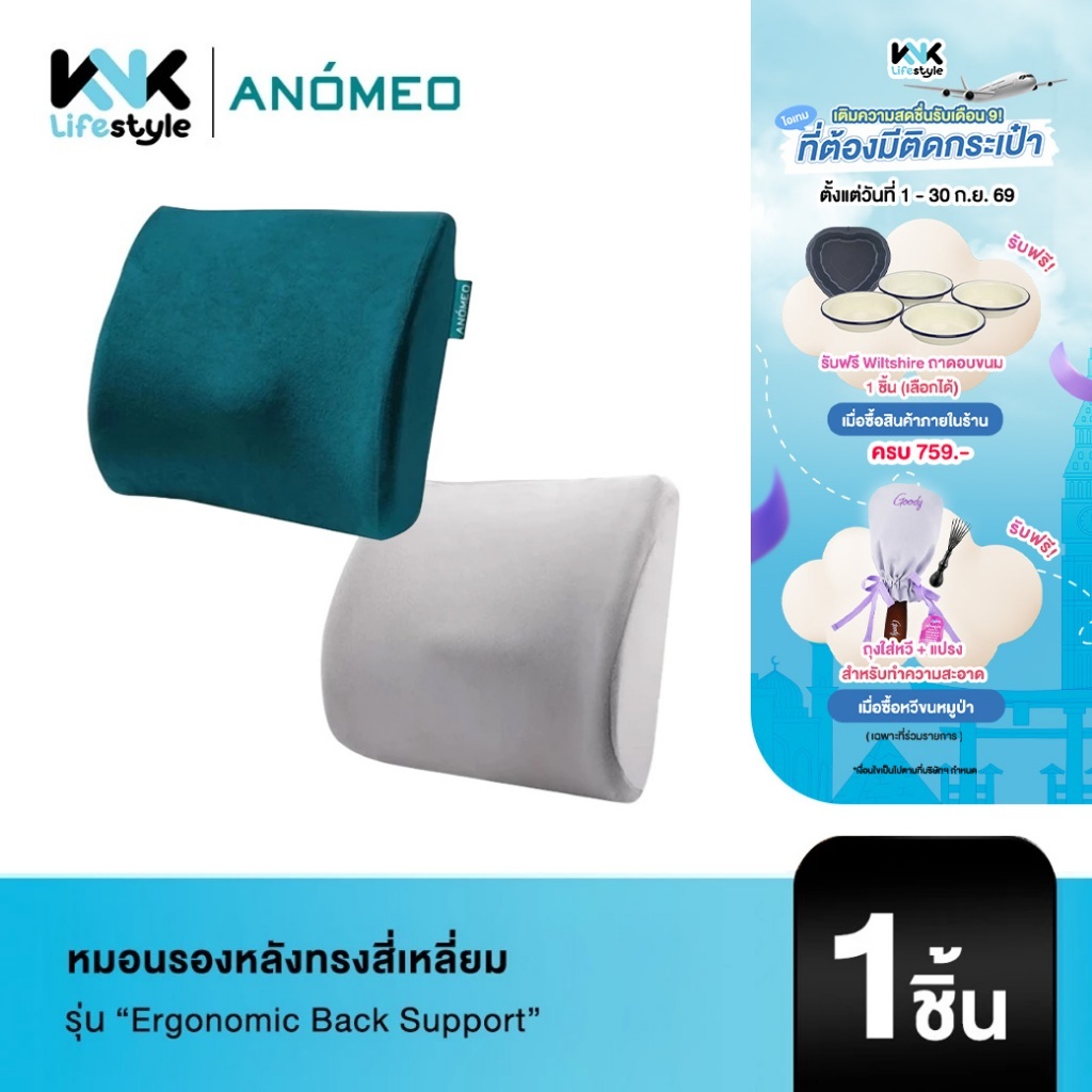 ANOMEO - หมอนรองหลังทรงสี่เหลี่ยม รุ่น Ergonomic back support