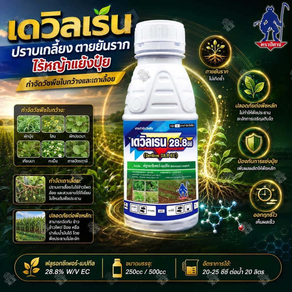 ฟลูรอกซีเพอร์-เมปทิล 28.8% เดวิลเรน 250cc / 500cc กำจัดวัชพืชใบกว้าง เถาเลื้อย กระเถา สตาร์เรน โซตะ