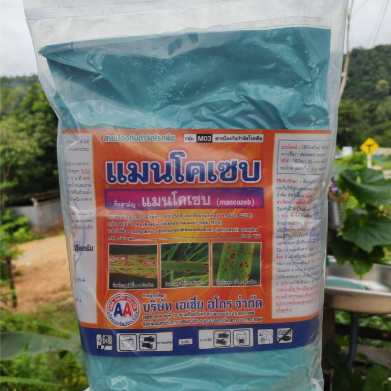 แมนโคเซบ 80% ผงสีฟ้า 1 กิโลกรัม ฟื้นฟูพืช ช่วยให้ใบเขียว แอนแทรสโนส โรคจุด โรคราดำ โรคใบจุดสนิท