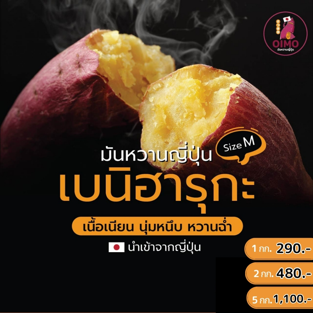 OIMO โออิโมะมันหวานญี่ปุ่นพันธุ์เบนิฮารุกะ Beniharuka sweet potato (Size M)