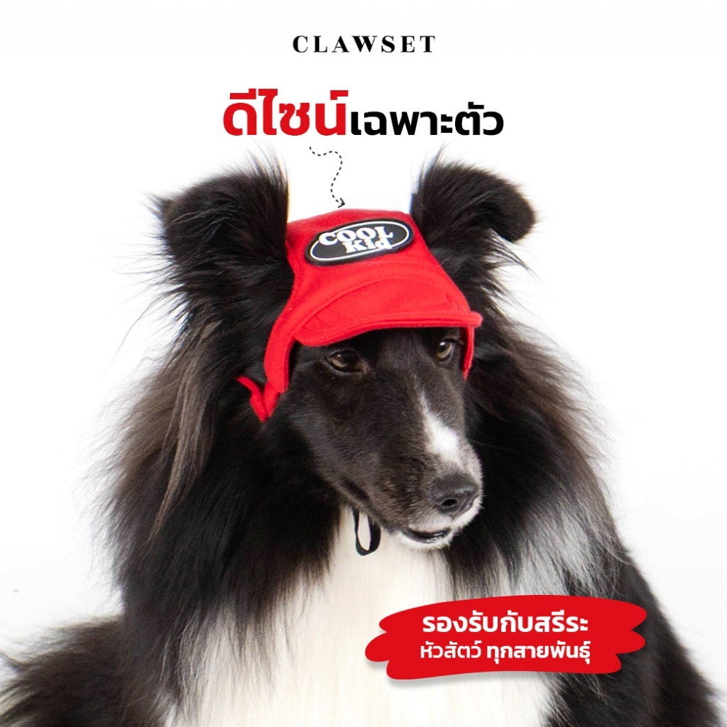 CLAWSET قبعة Coolkid للحيوانات قابلة للتعديل — صورة 6