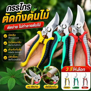 กรรไกรตัดกิ่งไม้ ใบมีดสเตนเลสคมกริบ มีสปริง ตัดง่ายไม่เมื่อยมือ มีตัวล็อค กรรไกรแต่งกิ่งปากโค้ง กรรไกรทำสวน มี 3 สี พร้อ