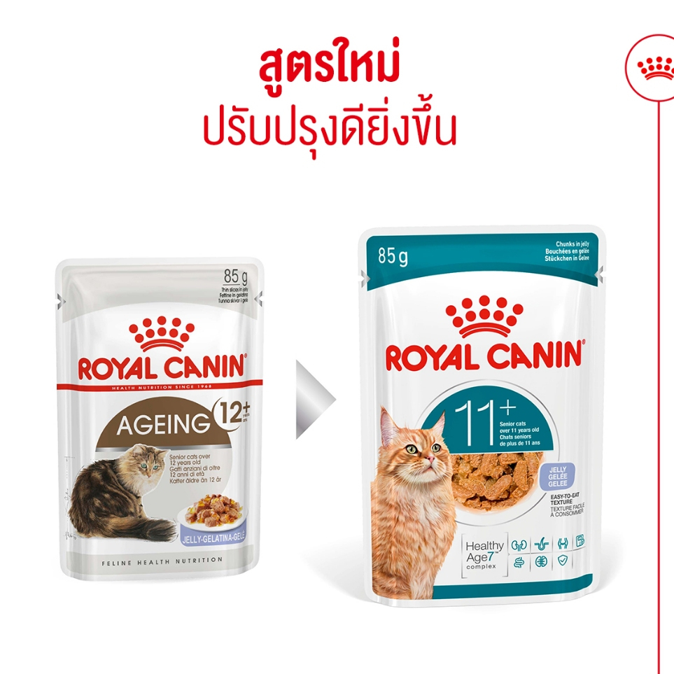 Royal Canin طعام قطط مسنة رطب Ageing 11+ جيلي (12 كيس) — صورة 3