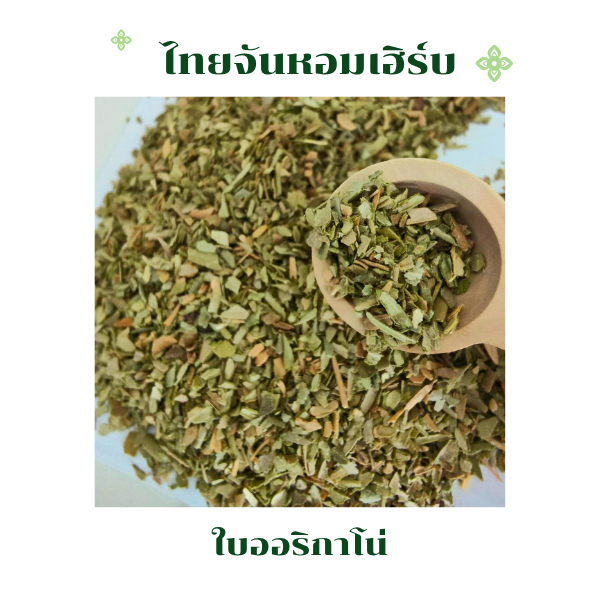 ออริกาโน่ ใบออริกาโน่ คัดเกรดคุณภาพ ขนาด 100 กรัม