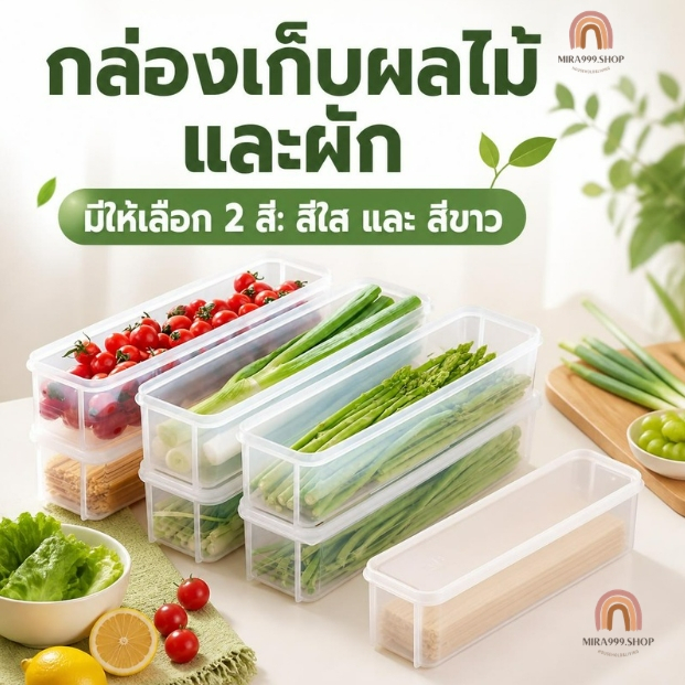 กล่องเก็บผักผลไม้ กล่องถนอมอาหาร เก็บอาหารสด ขนาดใหญ่พร้อมฝาปิด เก็บในตู้เย็นได้ยาวนาน