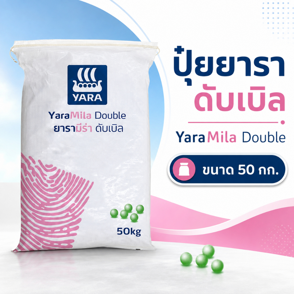 ปุ๋ยยารา 8-24-24 YaraMila Double ยารามีร่า ดับเบิล 50 กก. ปุ๋ยเร่งดอก บำรุงผล ฟอสฟอรัส-โพแทสเซียมสูง