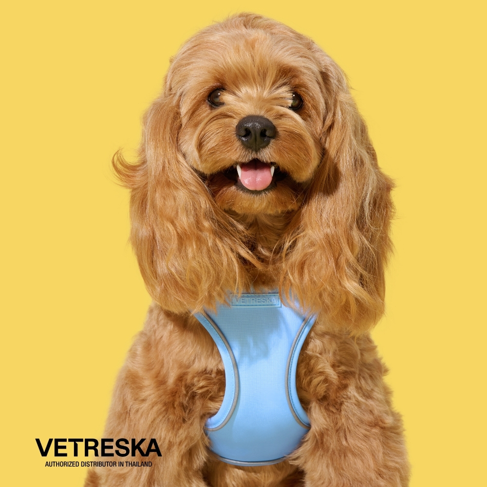 VETRESKA طقم صدرية ومقود بنقش أقحوان — صورة 5