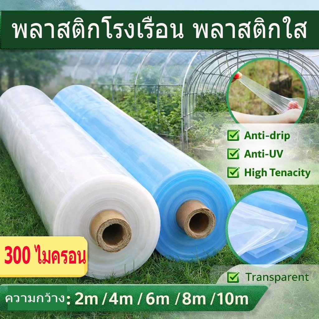 พลาสติกโรงเรือน พลาสติกใส พลาสติกคลุมโรงเรือน กันฝนgreenhouse หนา 300/200/250 ไมครอน UV15% โรงเรือนแคคตัส พลาสติกปูบ่อ
