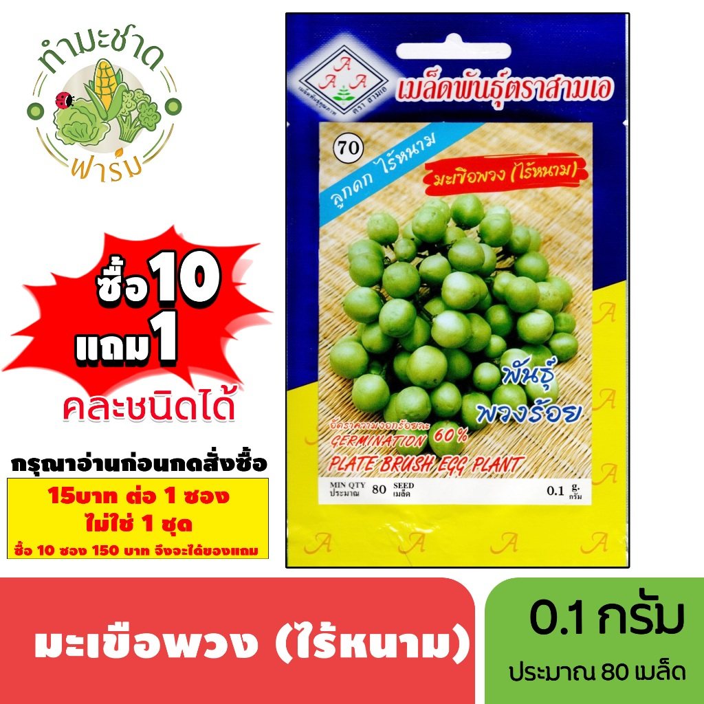 [1ซอง] 3A (ซื้อ10แถม1) เมล็ดพันธุ์ มะเขือพวงไร้หนาม ขนาด0.1กรัม ประมาณ80เมล็ด PLATE BRUSH EGG PLANT มะเขือพวง เมล็ดพันธ