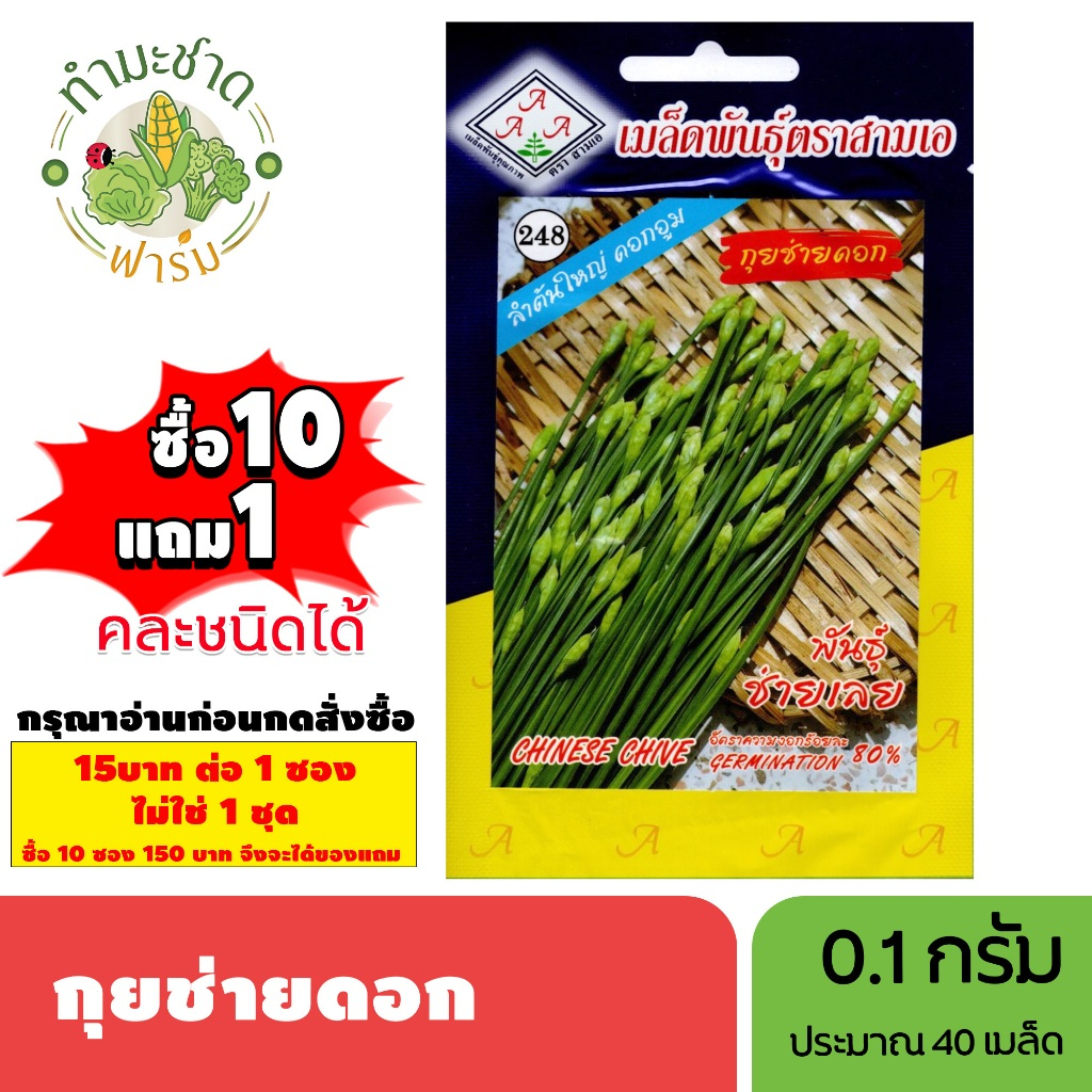 [1ซอง] 3A (ซื้อ10แถม1) เมล็ดพันธุ์ กุยช่ายดอก ขนาด0.1กรัม ประมาณ40เมล็ด CHINESE CHIVE กุ้ยช่าย กุ้ยฉ่าย กุยฉ่าย เมล็ดพัน