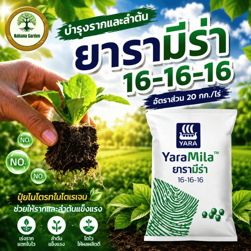 [สูตรเสมอ ยอดฮิต] ปุ๋ย 16-16-16 บำรุงครบ ต้น-ใบ-ดอก-ผล สารอาหารสมดุล โตไว แข็งแรง ใช้ได้กับพืชทุกชนิด