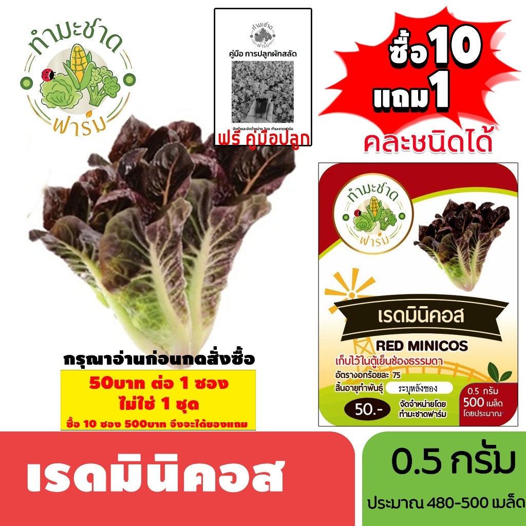 [1ซอง] ทำมะชาดฟาร์ม (ซื้อ10แถม1) เมล็ดพันธุ์ เรดมินิคอส  ขนาด0.5กรัม ประมาณ500เมล็ด RED MINICOS ROMAINE LETTUCE เบบี้คอส
