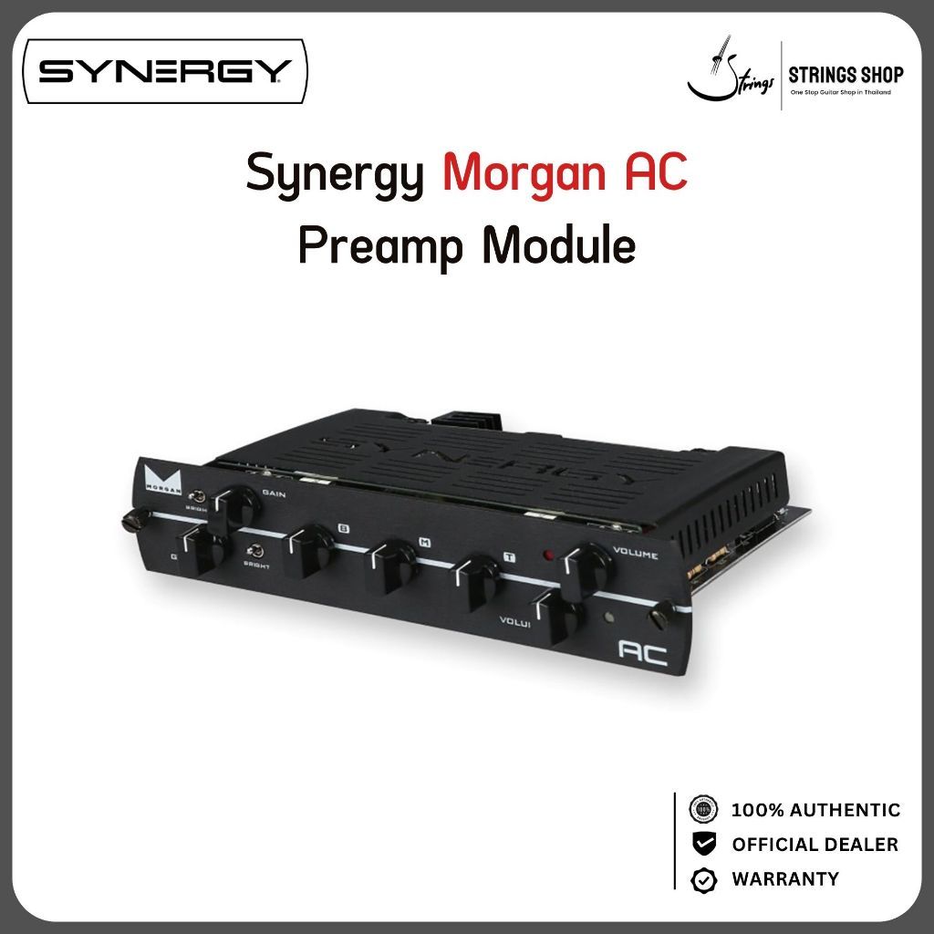 Synergy Morgan AC Preamp Module ปรีแอมป์หลอดกีตาร์ 2 แชนแนล British Class-A 2x12AX7 พร้อม Bright Swi