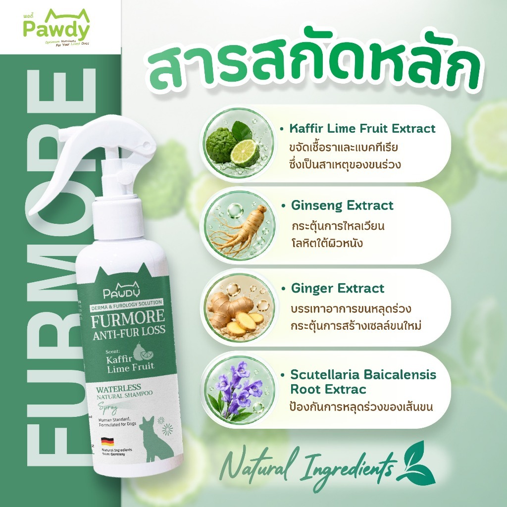 Pawdy بخاخ استحمام جاف للكلاب Natural ضد تساقط الشعر — صورة 3