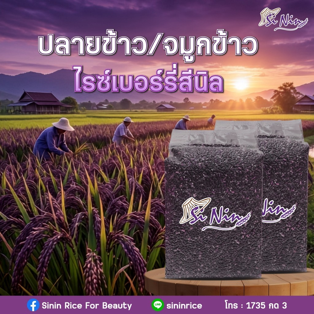 ปลายข้าว/จมูกข้าวไรซ์เบอร์รี่ สีนิล 1 kg./ถุง