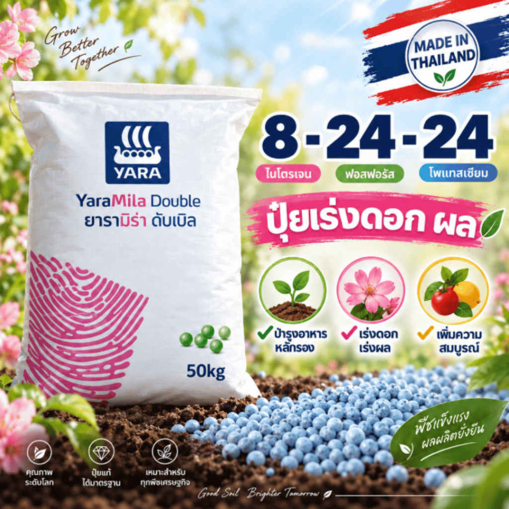 ปุ๋ย YARAMILA สูตร 8-24-24 ยารามีร่า 8-24-24 สูตรเร่งดอกดก ติดผลไว ขยายลูกใหญ่ รสหวานฉ่ำ เพิ่มผลผลิตคูณสอง!