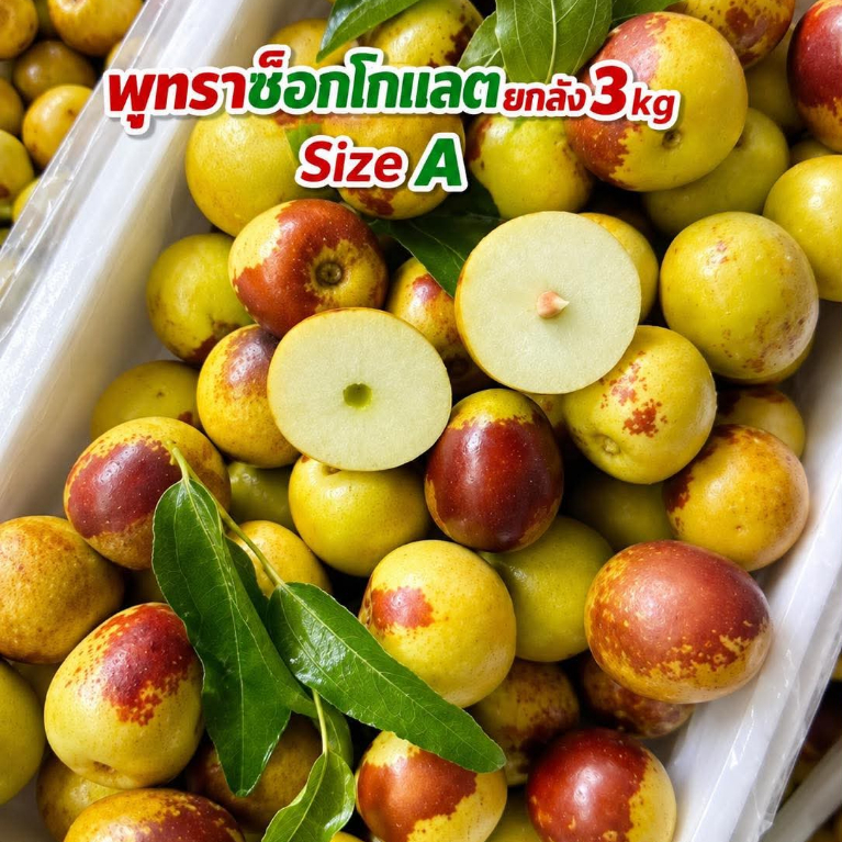 Aพุทราช็อกโกแลตยกลังไซส์ Aใหญ่หนัก 3 กก รวมลังโฟม เนื้อกรอบฟูหวานอร่อย(กดสั่งทีละออเดอร์เพื่อการแพ็กที่สวยงาม)