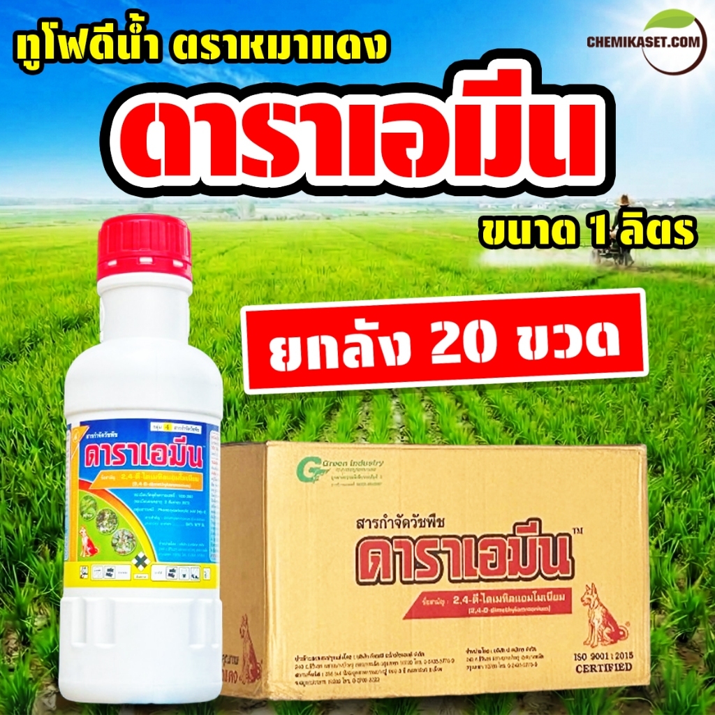(ยกลัง20ขวด) ดาราเอมีน ขนาด 1 ลิตร ทูโฟร์ดีน้ำตราหมาแดง หมาแดงน้ำ สารกำจัดวัชพืชใบกว้าง