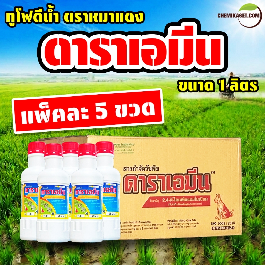 (แพ็คละ 5 ขวด) ดาราเอมีน ขนาด 1 ลิตร ทูโฟดีน้ำ ตรา หมาแดง หมาแดงน้ำ กำจัดวัชพืชใบกว้าง