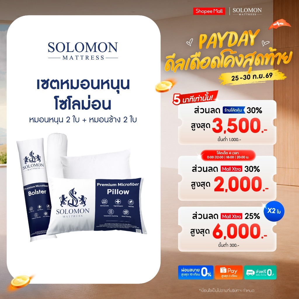 Solomon ชุดหมอนหนุน 2 ใบและหมอนข้าง 2 ใบ ผลิตจากใยพรีเมียม นุ่มสบาย ในราคาสุดคุ้ม