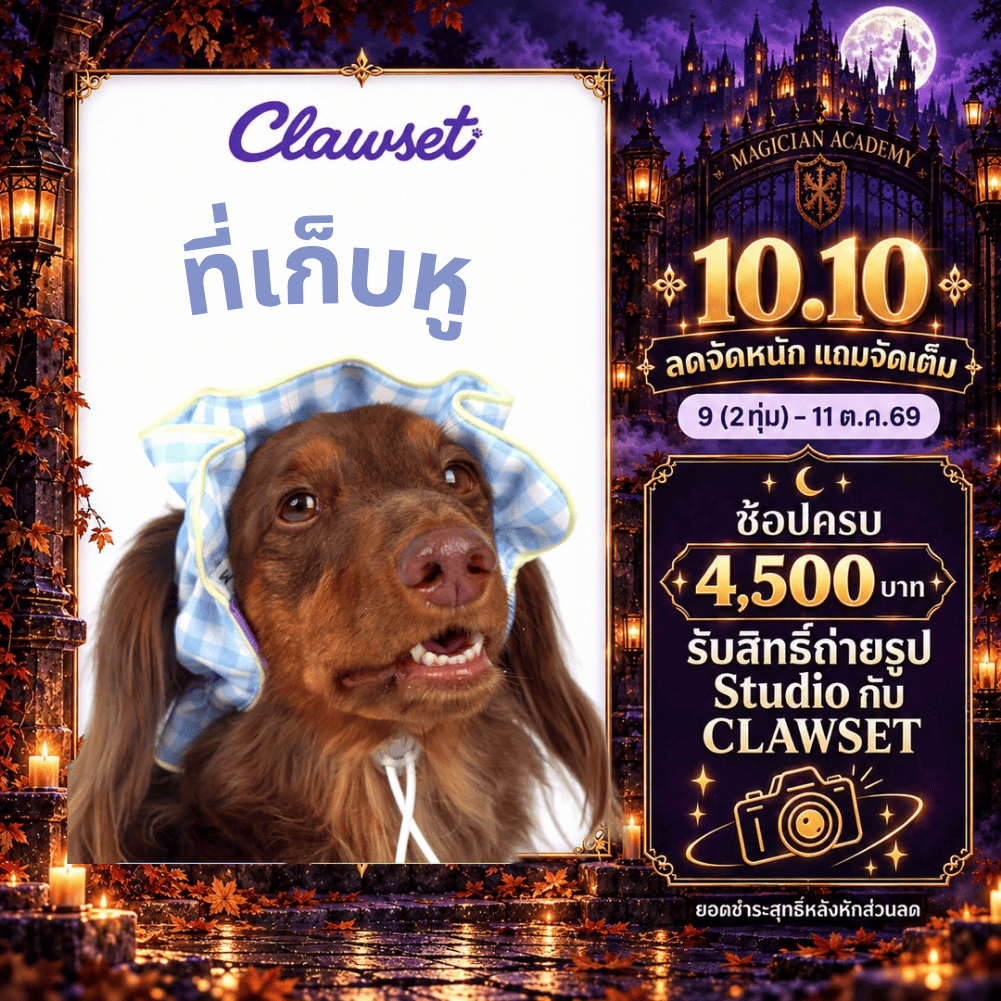 CLAWSET غطاء أذن للحيوانات Comfy Headband — صورة 2