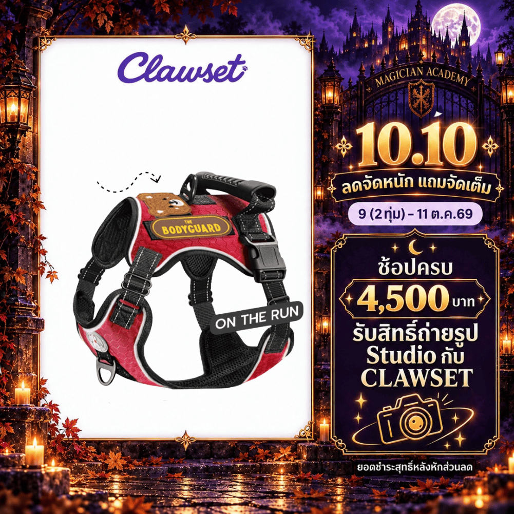 CLAWSET طقم حزام صدر ومقود On The Run — صورة 2