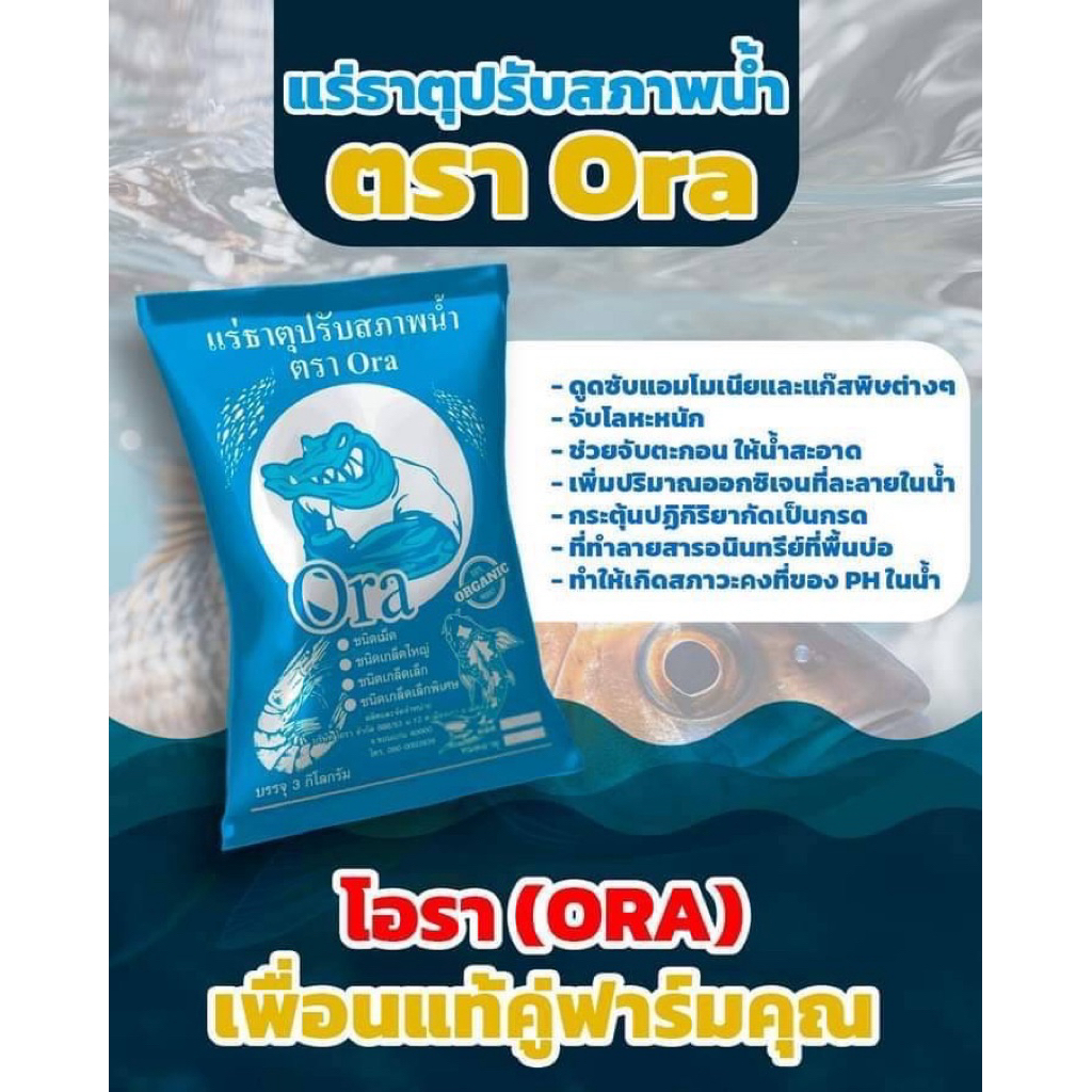 โอรา สารปรับสภาพน้ำ ช่วยดับกลิ่นเหม็น ช่วยให้สัตว์น้ำไม่เป็นโรค