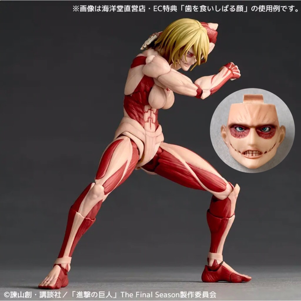 (พร้อมส่ง) ได้พาร์ทหน้าพิเศษ Revoltech Amazing Yamaguchi • Female Titan / Annie Leonhart : Attack on